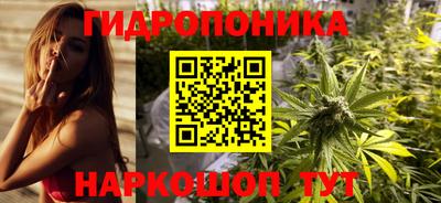 винт Партизанск