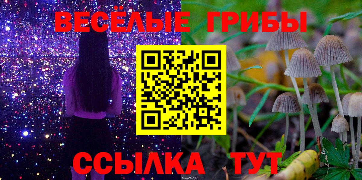 Галлюциногенные грибы мицелий  Вход с VPN  Галлюциногенные грибы GOLDEN TEACHER  Ростов Великий 