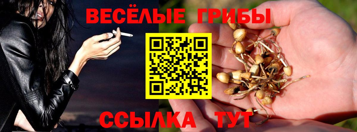 Псилоцибиновые грибы Magic Shrooms Ростов Великий